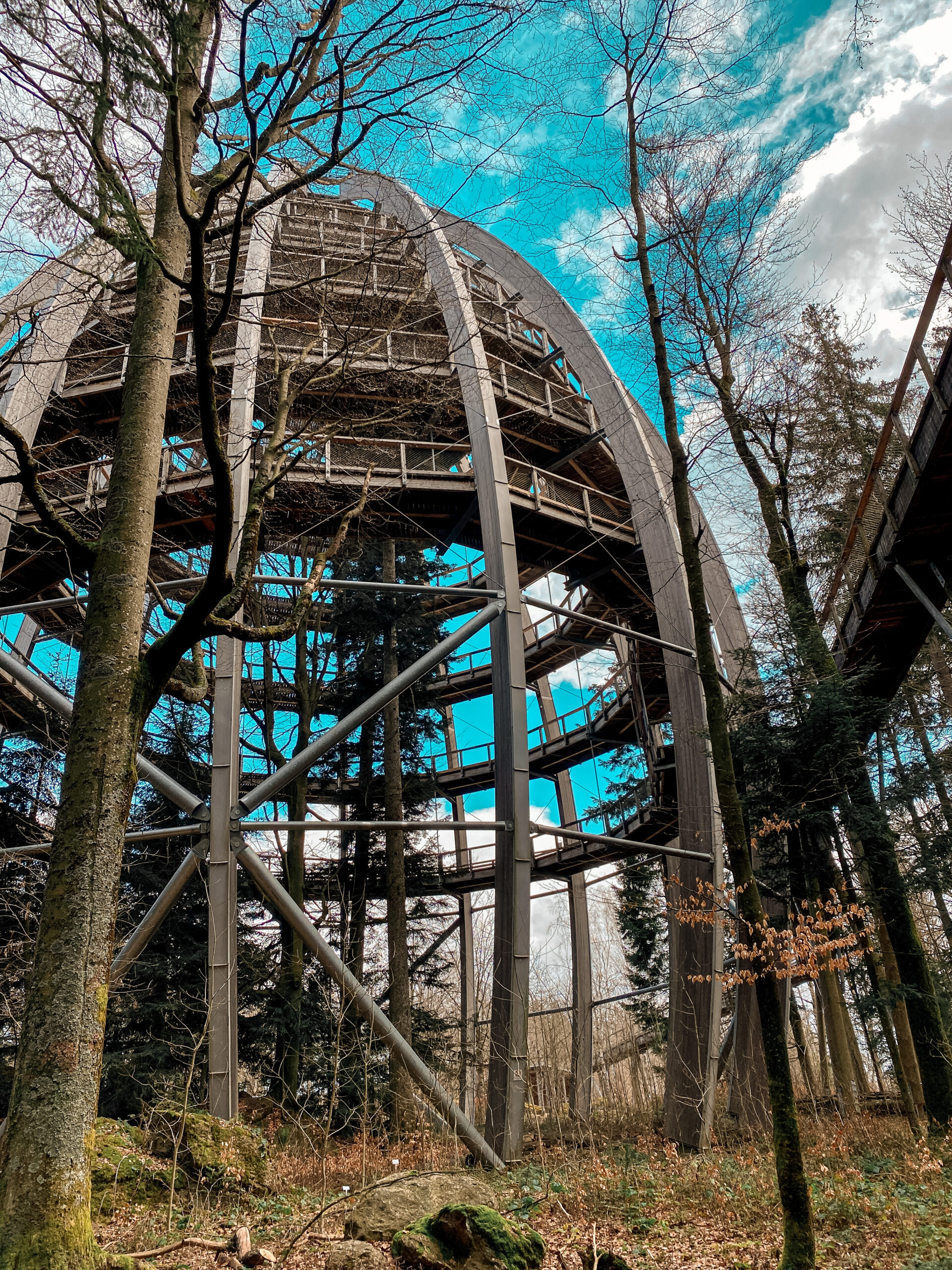 Baumei Nationalpark Bayerischer Wald